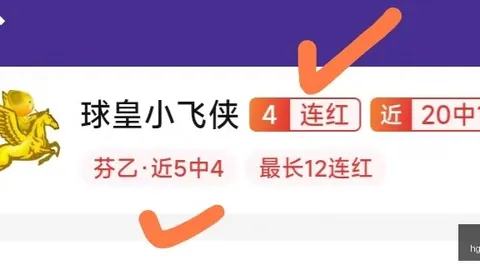 新西兰足球对决：怀伊队强势归来，与金块一较高下